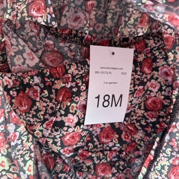 NWT Red and Pink Floral Babydoll Dress with Puff Sleeves. Bonnie Jean 18mo - Picture 4 of 5